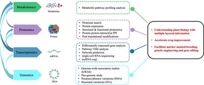 Multi-omics revolution to promote plant breeding efficiency